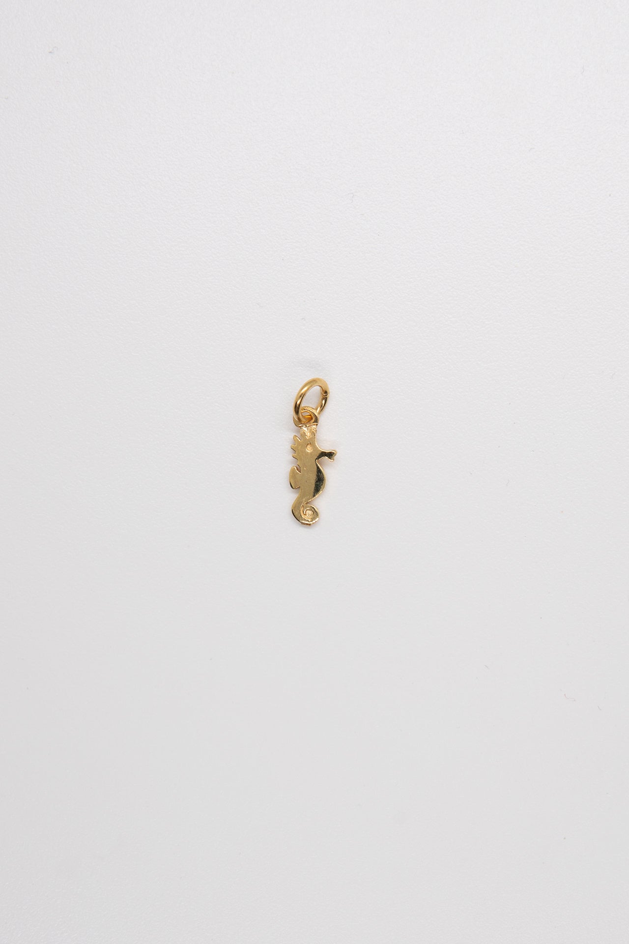 Ciondolo Cavalluccio Marino - Chi resta sè stesso vince contro ogni corrente-