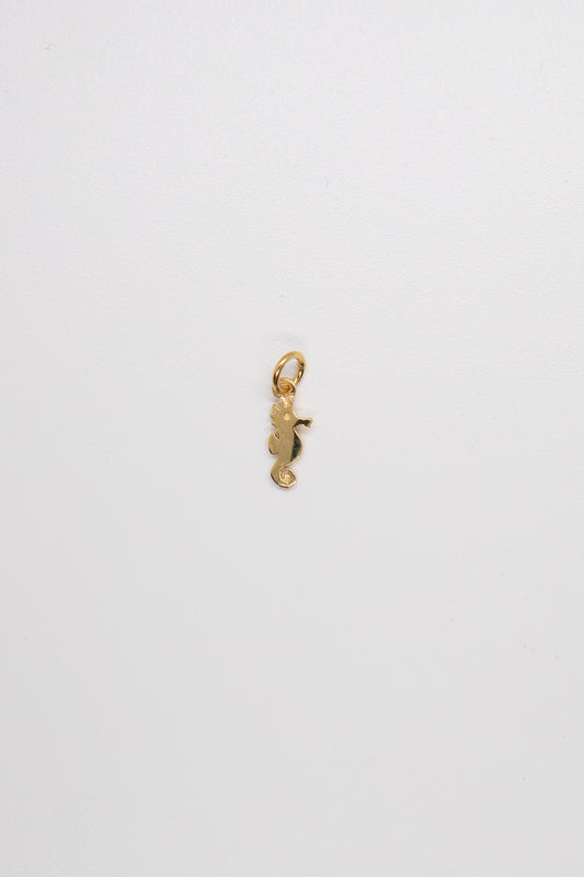 Ciondolo Cavalluccio Marino - Chi resta sè stesso vince contro ogni corrente-